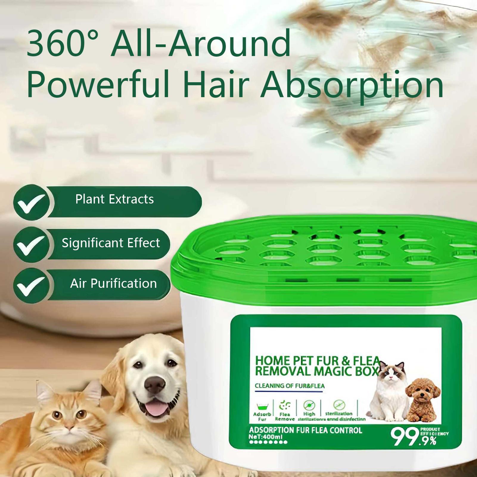 Caja Portátil de 400 ml para E - Hair Care reseña y precio